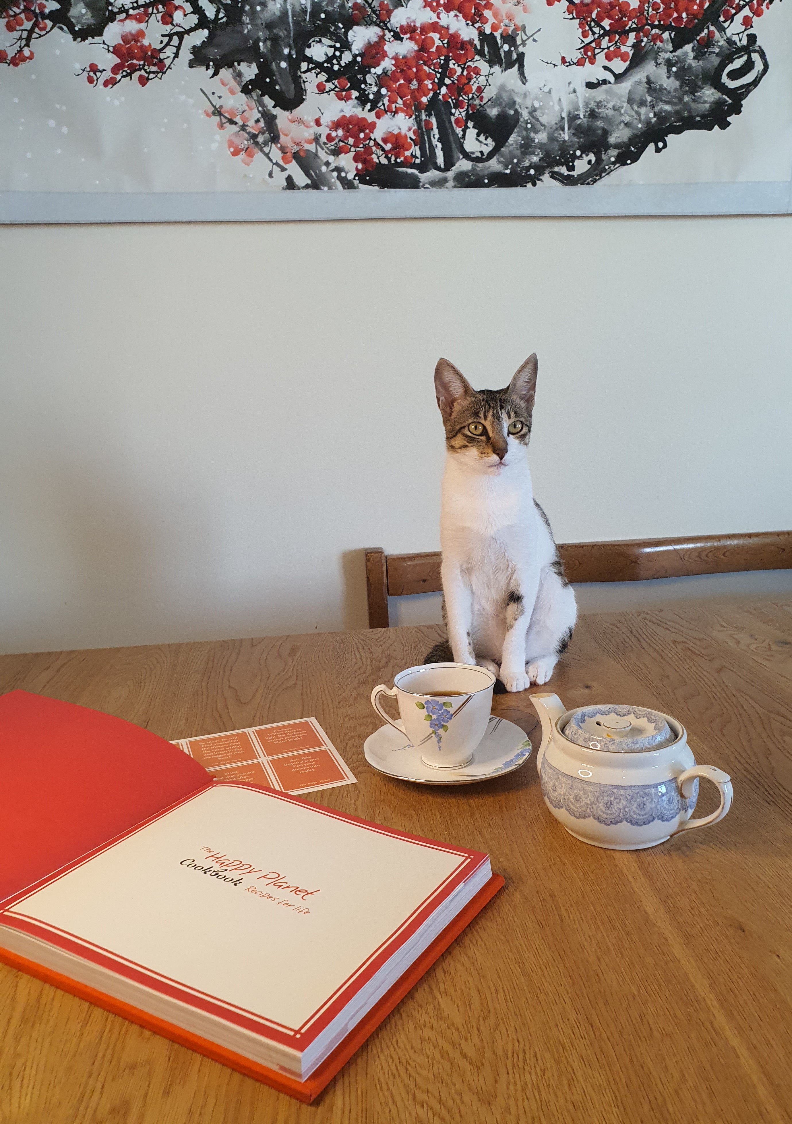 The Happy Planet Cook Book